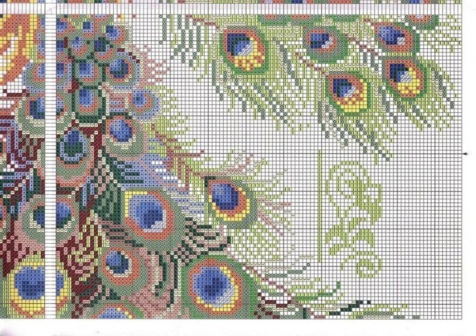 Роскошные павлины