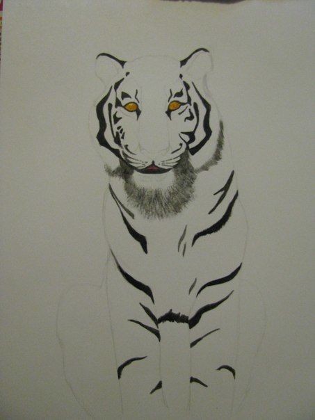 ​Рисуем тигра: мастер-класс