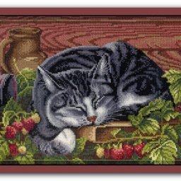 ​Вышиваем спящего кота