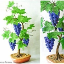 Виноградная лоза