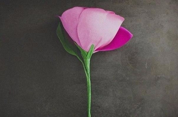 Роза из цветной гофробумаги для фотосессии
