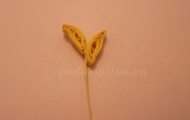 Квиллинг подсолнухи: мастер-класс