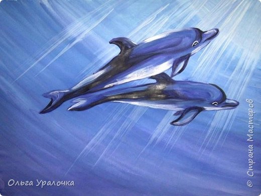 ​Чудесные дельфины