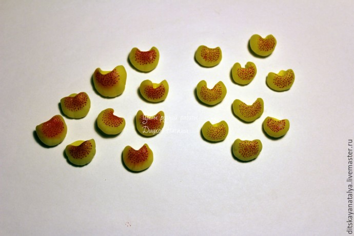 Кальцеолярия из полимерной глины