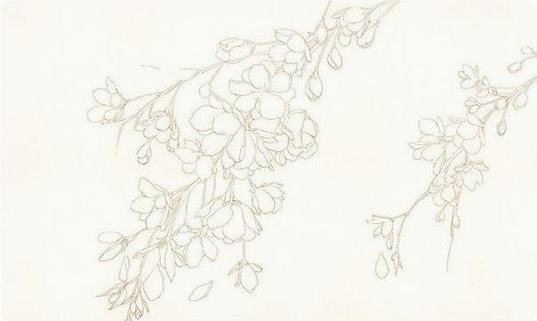 Учимся рисовать цвeты aквapeлью Учимся рисовать цвeты aквapeлью