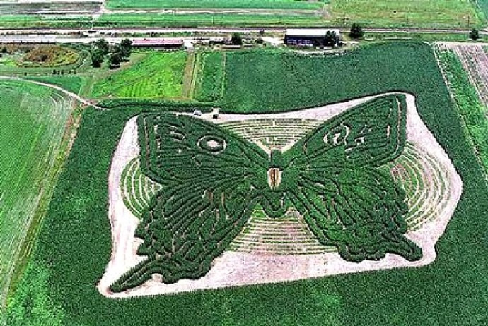 Картины трактором в полях