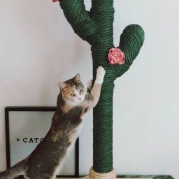​Когтеточка для кота в виде кактуса