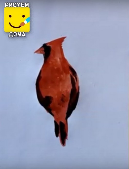 Рисуем красного кардинала: мастер-класс