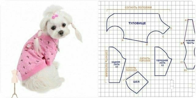 ​Комбинезон для собачки