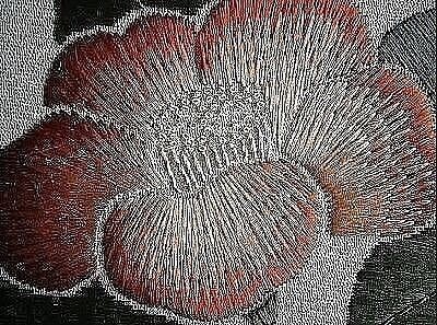 ​Интересные элементы вышивки