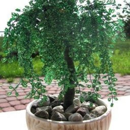 ​Плакучая ива из бисера