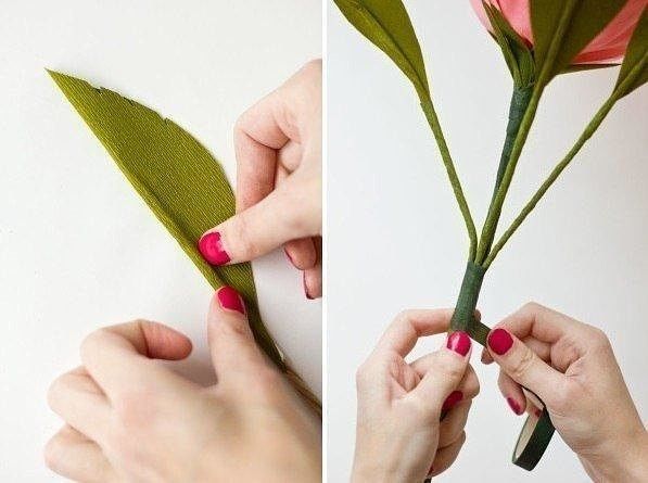 Гигантская роза