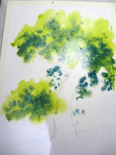 Урок рисования акварелью: раскидистое дерево