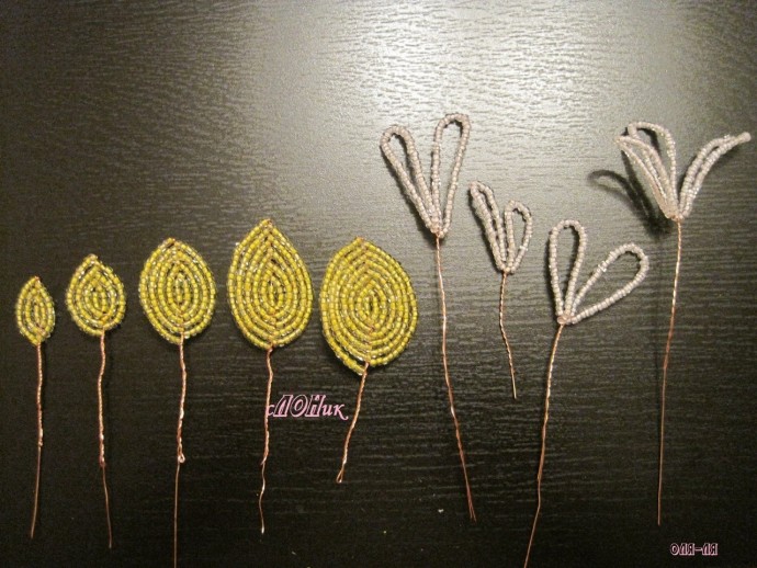 Пахистахис