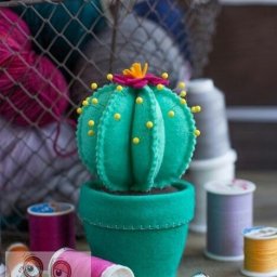 ​Игольница-кактус