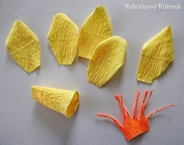 Нарциссы из гофрированной бумаги: мастер-класс Нарциссы из гофрированной бумаги: мастер-класс