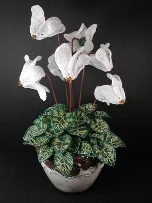 Красота для вашего вдохновения Красота для вашего вдохновения