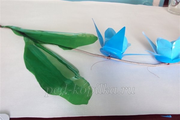 Цветы из пластиковых стаканчиков