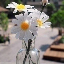 ​Милые ромашки из цветной бумаги