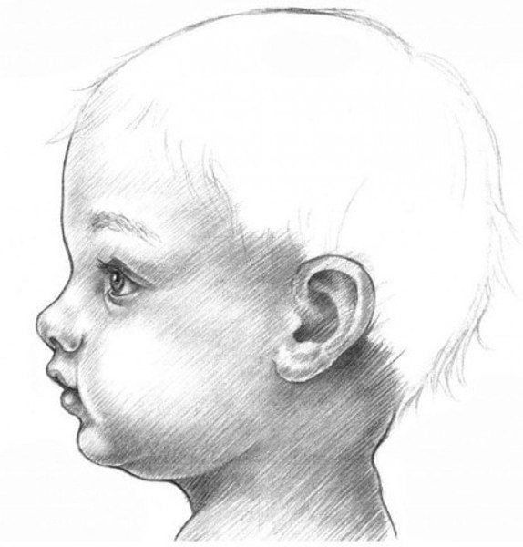 ​Рисуем голову младенца