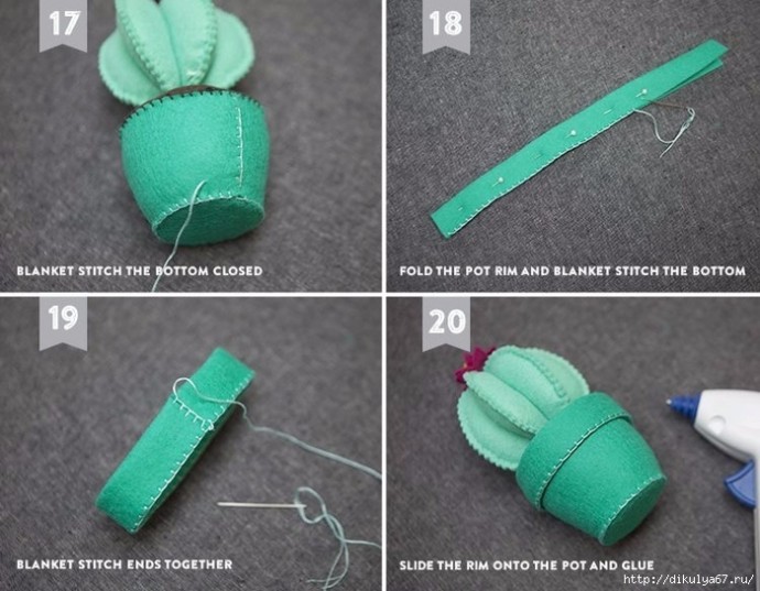 ​Игольница-кактус