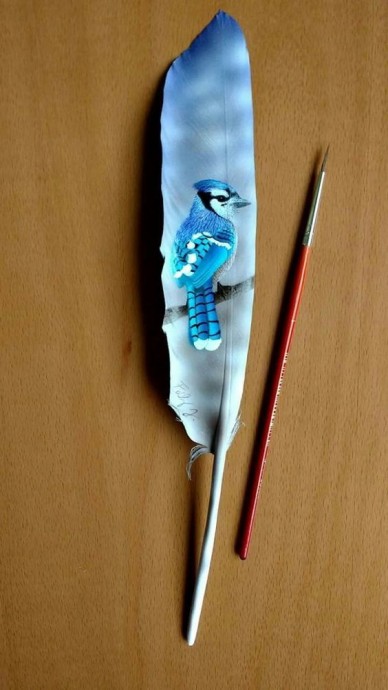 ​Рисуем на перьях