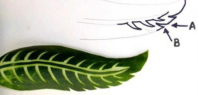 ​На грани творчества и кулинарии: мастер-класс по карвингу