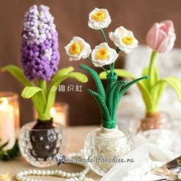 ​Нарциссы крючком