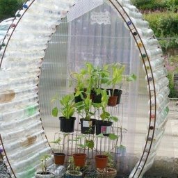 Идеи парника на даче своими руками