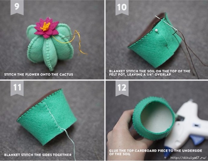 Игольница-кактус