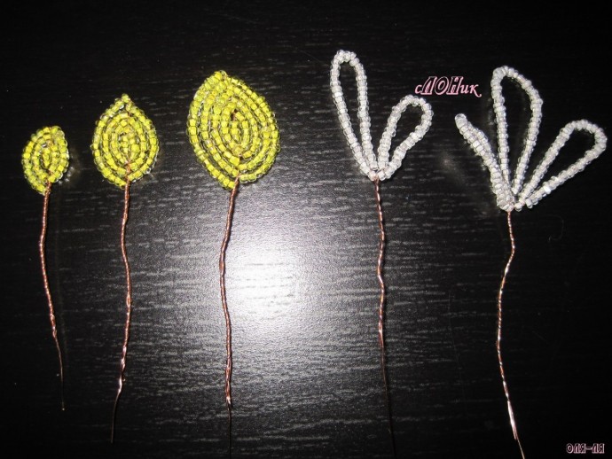 Пахистахис