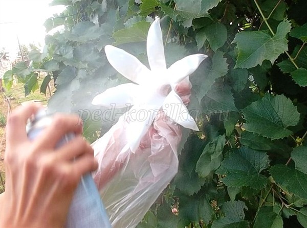 Цветы из пластиковых бутылок для сада: мастер-класс Цветы из пластиковых бутылок для сада: мастер-класс