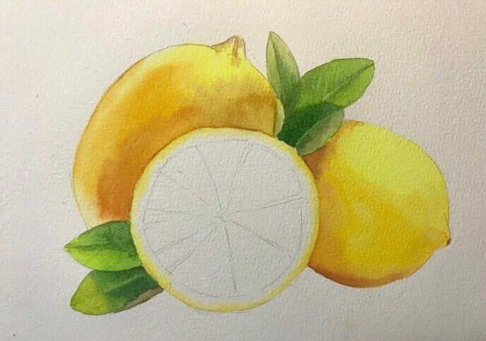 Лимоны акварелью