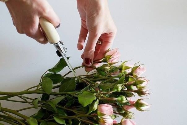 Венок из живых роз