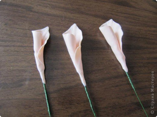 Гладиолус из холодного фарфора