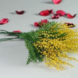 ​Мимозa из бисера: мастер-класс