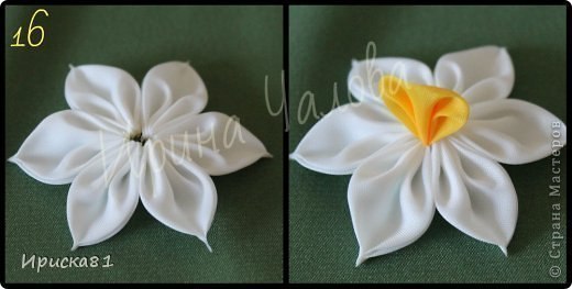 Правдоподобный и изумительно красивый нарцисс