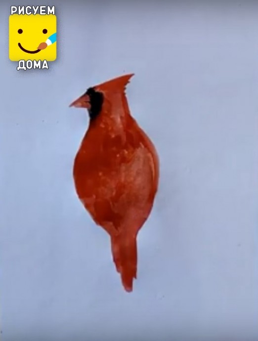 Рисуем красного кардинала: мастер-класс
