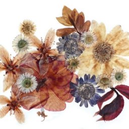 Разновидности техники ошибана: пишем картины из цветов и листьев