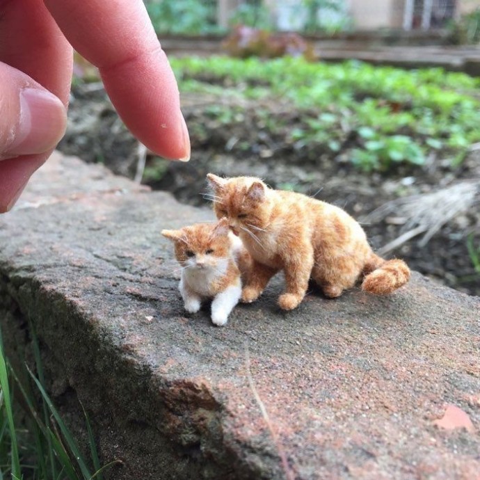 Невероятные миниатюры питомцев