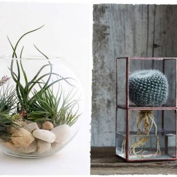 Необычные идеи для декора с растениями