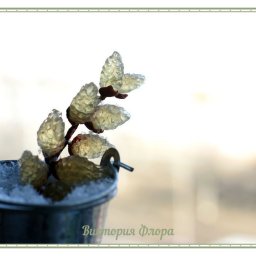 ​Нежная веточка вербы из прозрачного холодного фарфора