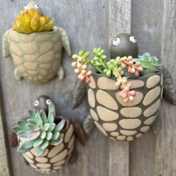 Идеи необычных кашпо