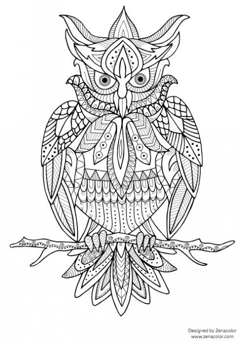 Антистрессовые раскраски с совами