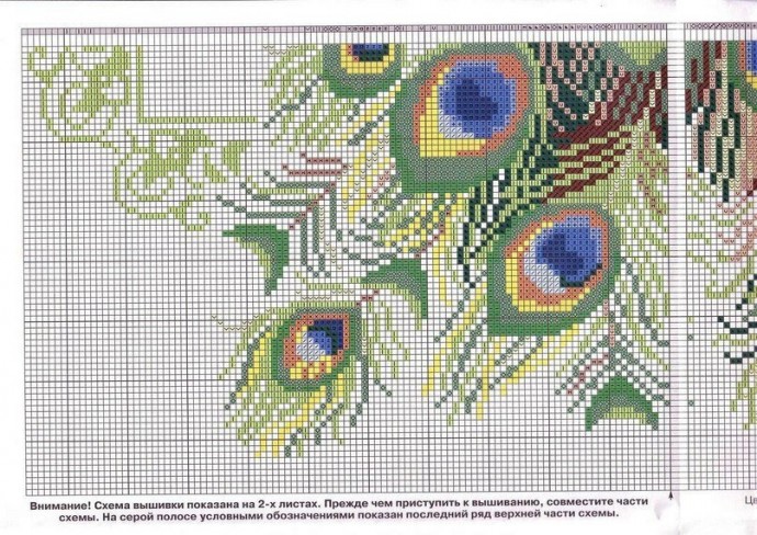 ​Вышиваем роскошных павлинов