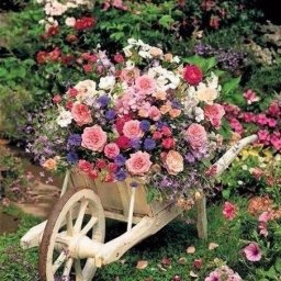 ​Необычные идеи клумб