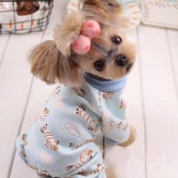 ​Шьём комбинезончик для маленькой собачки