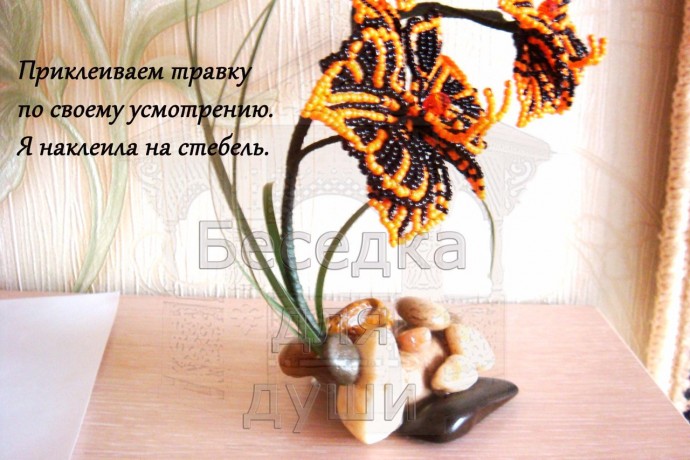 Орхидея фалленопсис "Дым и пламя": мастер-класс