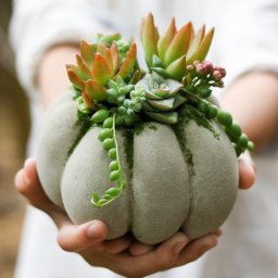 Кашпо в виде тыквы своими руками