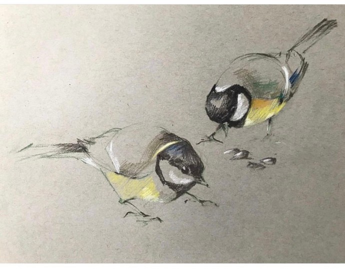 Урок рисования цветными карандашами: синички